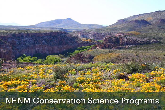 NHNM Conservation Science Programs
