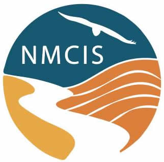 NM CIS Logo