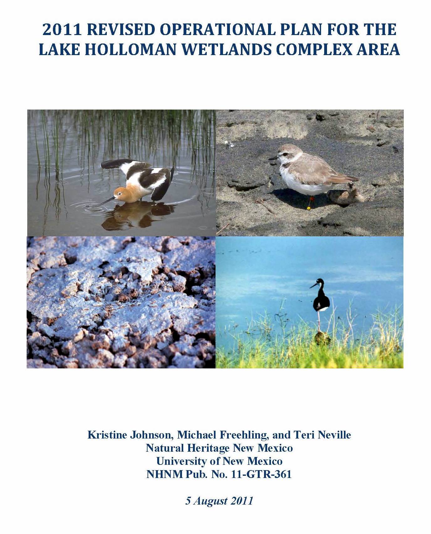 Holloman Wetlands Plan 2011 Cover